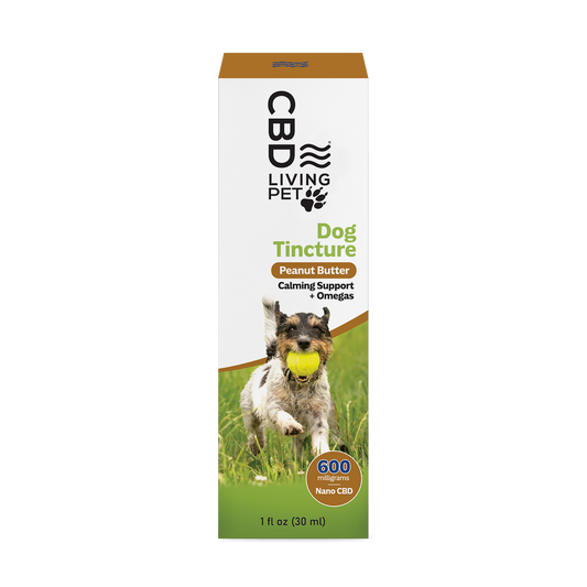 CBD Dog Tincture (4 Options)